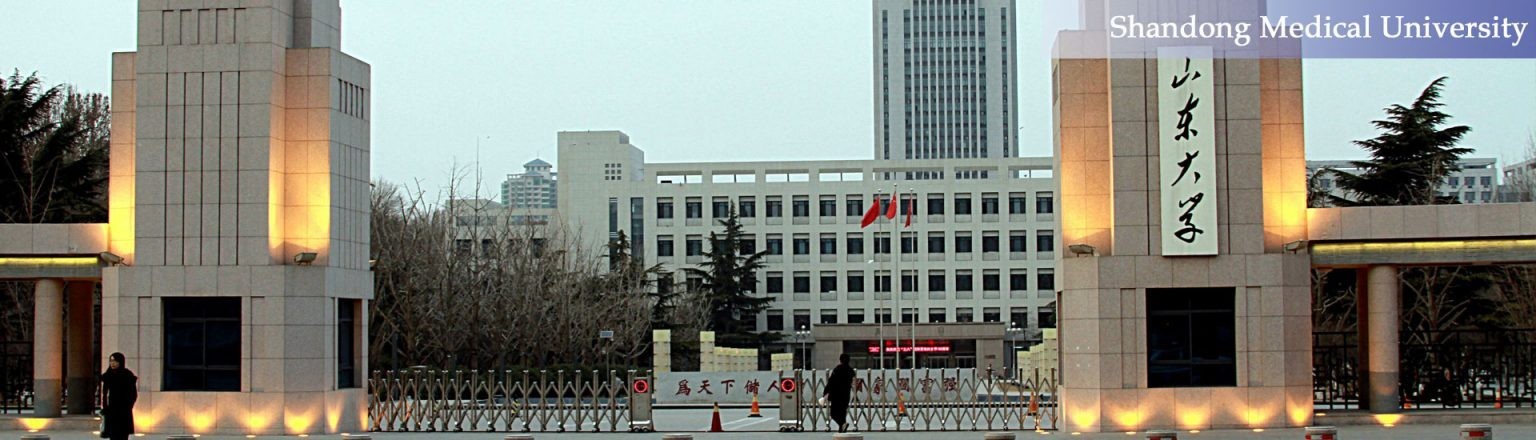 SHANDONG-UNIVERSITY