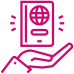 visa-icon8